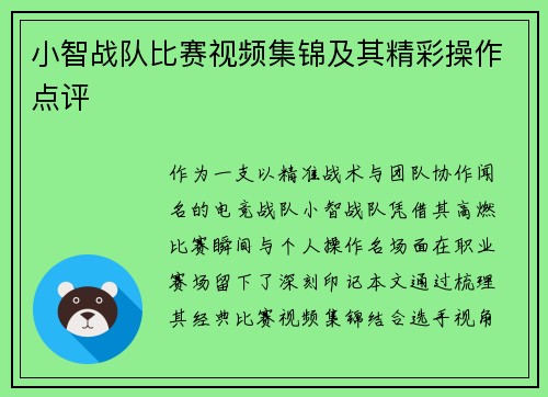 小智战队比赛视频集锦及其精彩操作点评